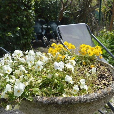 فندق Il Giardino Nel Parco R&B بولونيا المظهر الخارجي الصورة