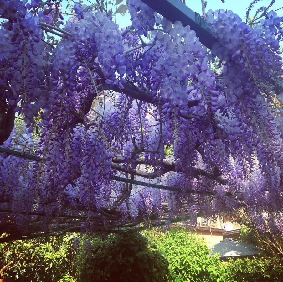 فندق Il Giardino Nel Parco R&B بولونيا المظهر الخارجي الصورة