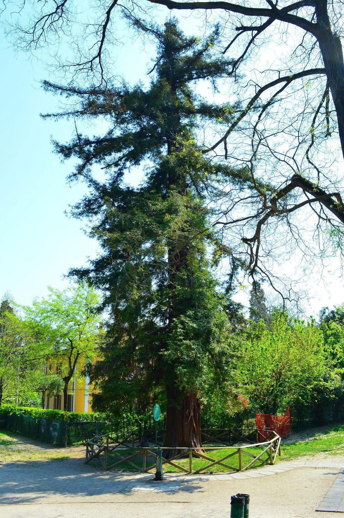 فندق Il Giardino Nel Parco R&B بولونيا المظهر الخارجي الصورة
